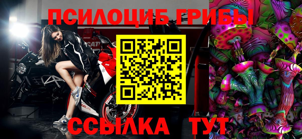 Галлюциногенные грибы ЛСД Котлас