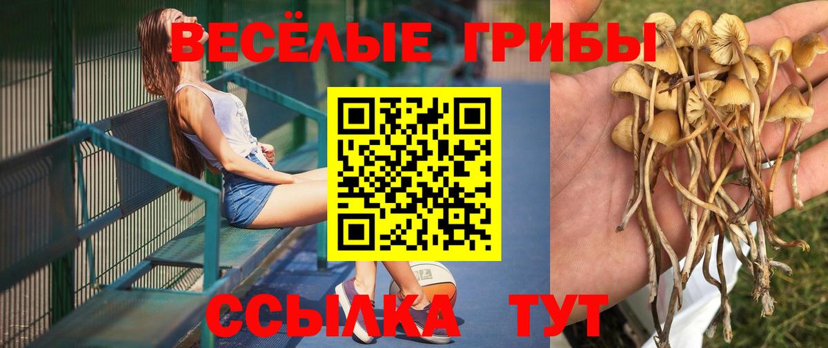 Котлас  Псилоцибиновые грибы Psilocybe  Галлюциногенные грибы Psilocybine cubensis  Вход с VPN 
